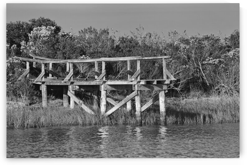 Disheveled And Strong by India Blake