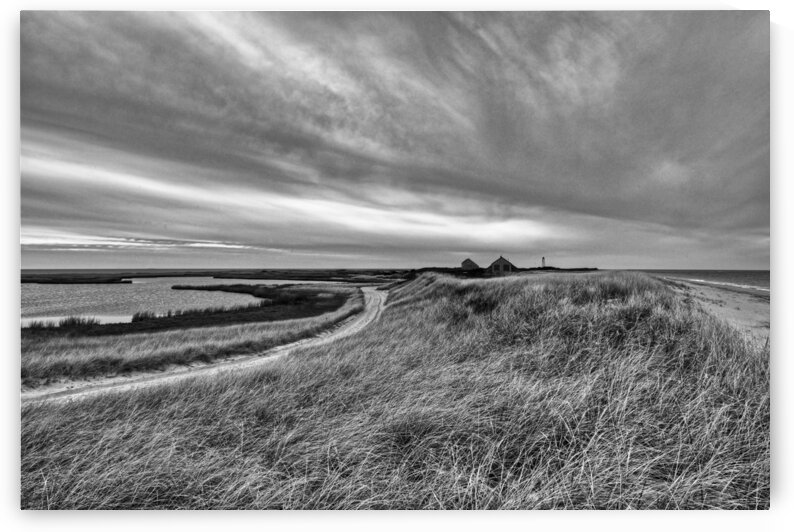 Subtle Breeze by India Blake