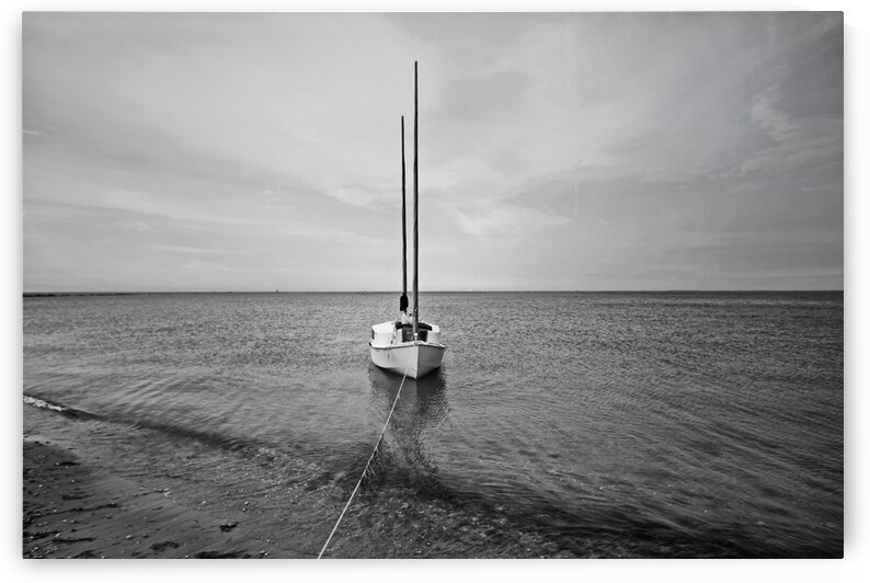 Anchored by India Blake