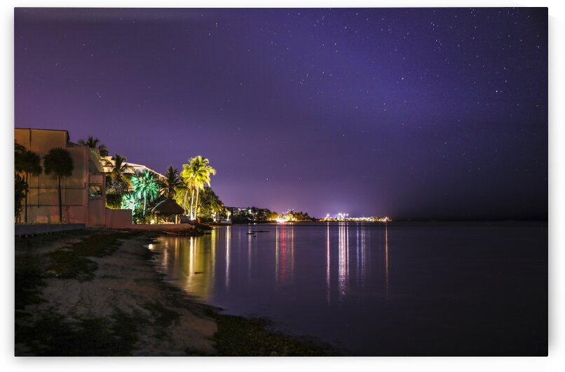 Night Lights by India Blake