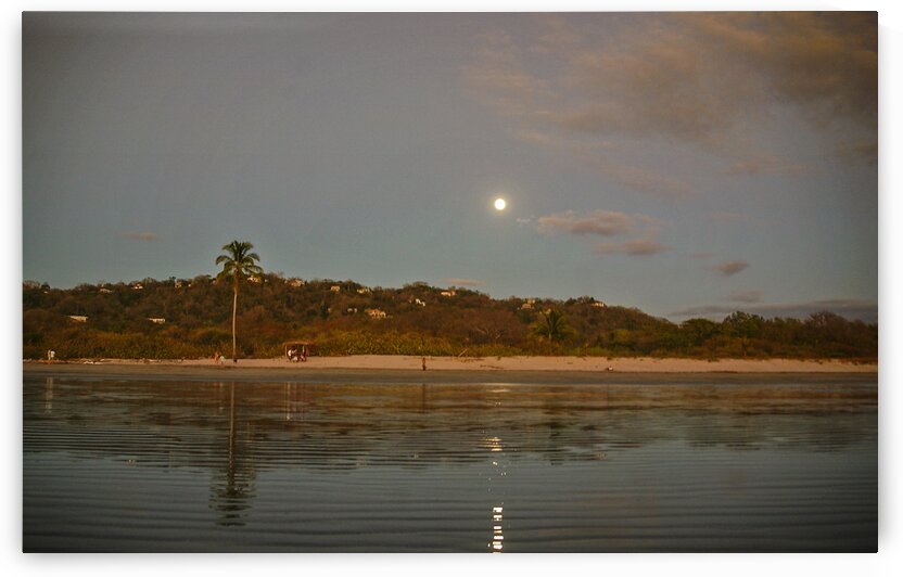 Moon Rise by India Blake