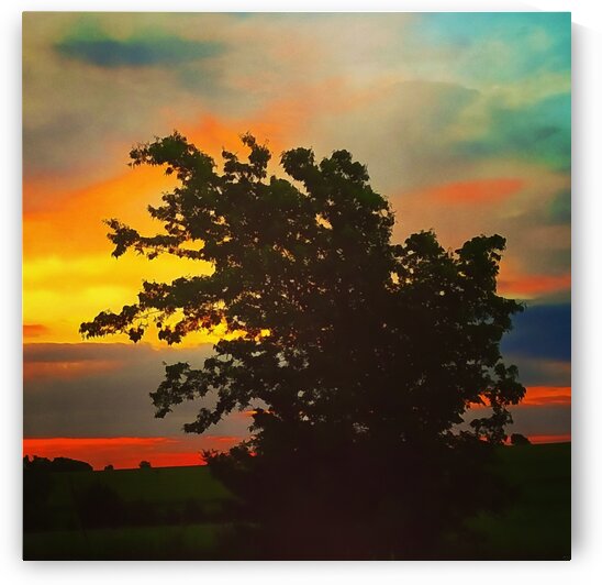 Perfect Balance by Pierce Anderson