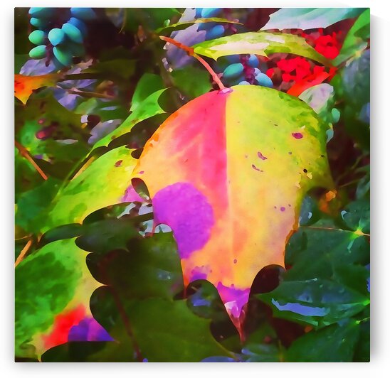 Color Burst by Pierce Anderson