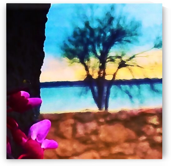 Two Seasons by Pierce Anderson