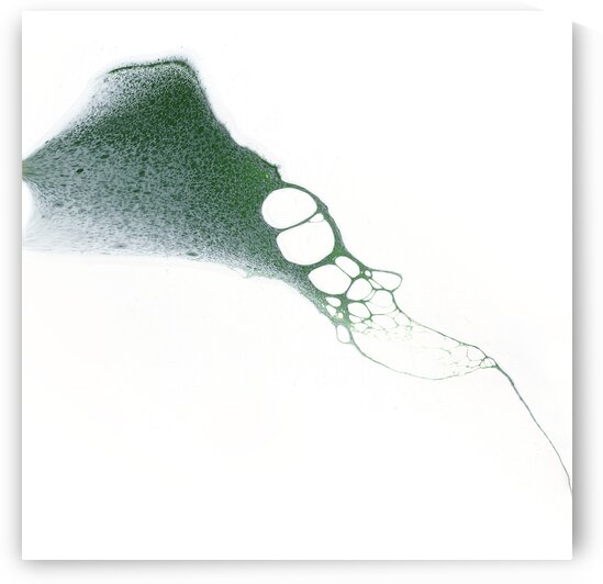 Far Away by Carla White