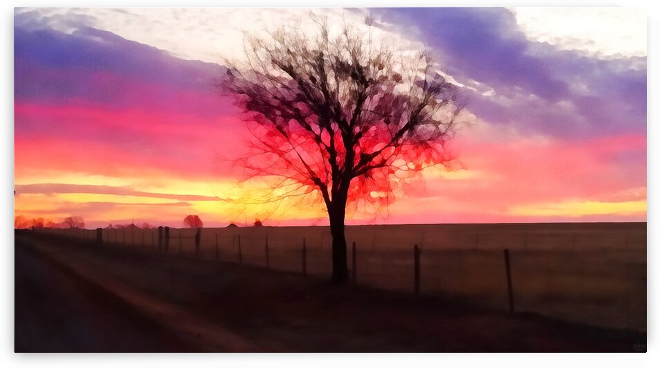 still morning by Pierce Anderson