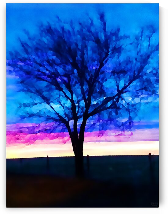 stillness by Pierce Anderson