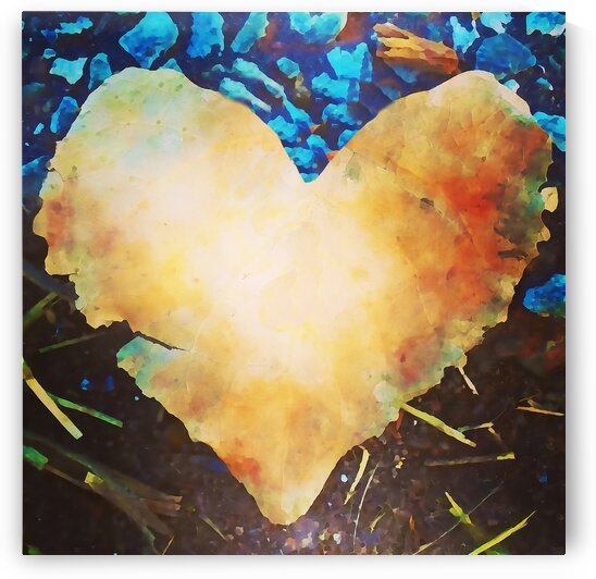 heart leaf by Pierce Anderson