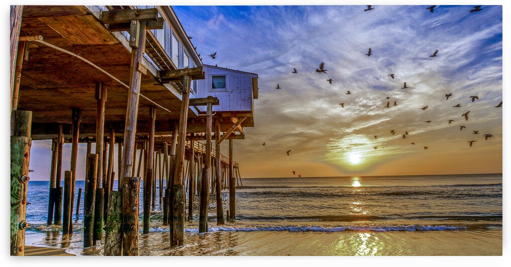 sunrise with birds Nags Head by WEPATTON