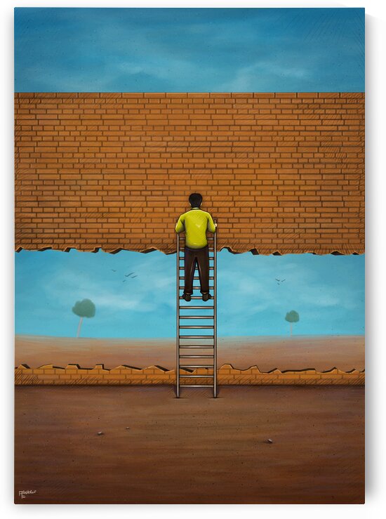 The wall flies by Alirastroo