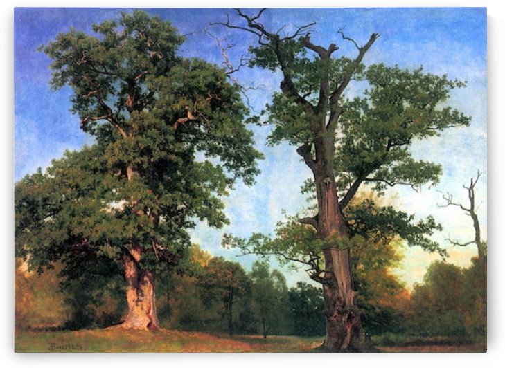 The pioneers of forests by Bierstadt