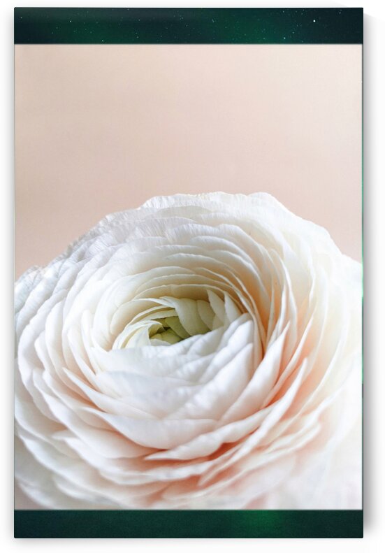 Flower by Maralize April