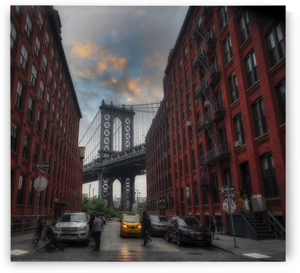 Dumbo   by M Damien Suriel