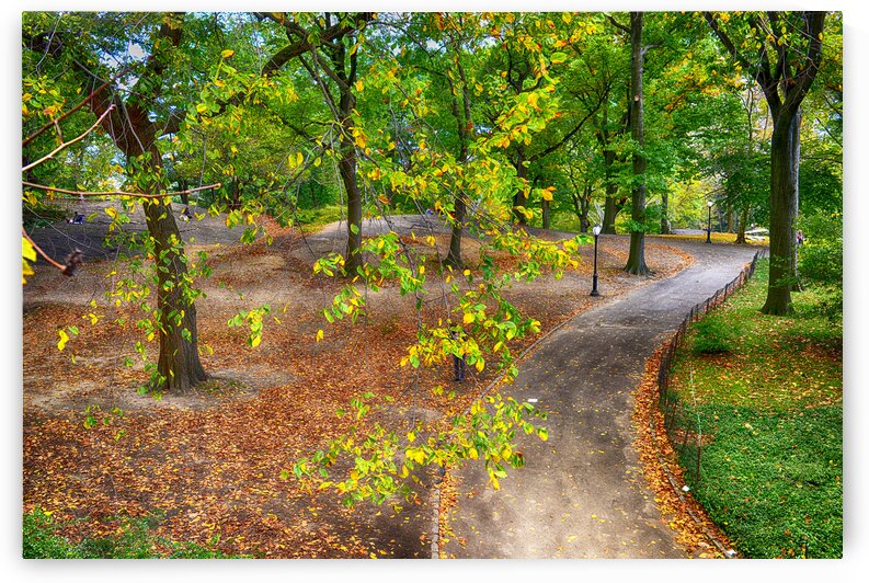 A Walk In The Park  by M Damien Suriel
