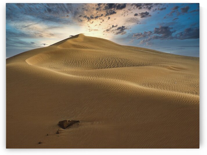Dubai Desert Dunes by M Damien Suriel