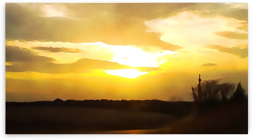 golden evening by Pierce Anderson