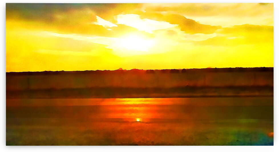 orange yellow by Pierce Anderson