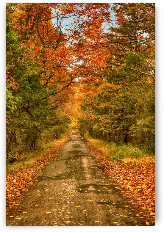 road less travelled A 3524 hdr by M Damien Suriel