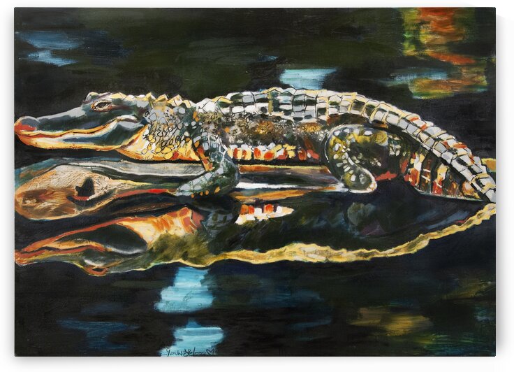 Horizontal Louisiana Alligator on a Log in the Bayou by Caroline Youngblood