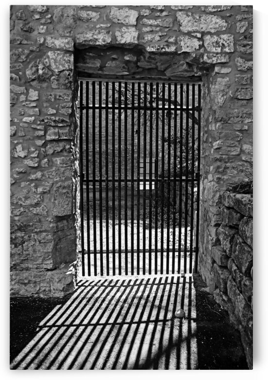Behind Bars Black And White by Deb Oppermann