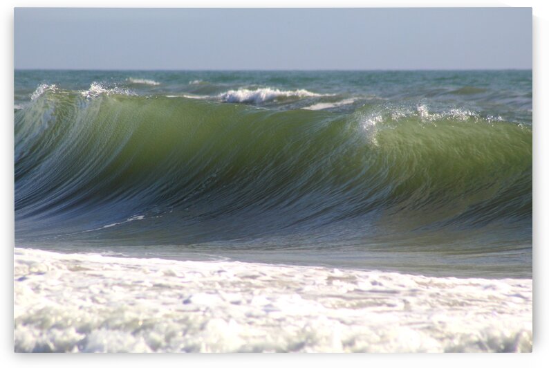 Growing Power by The NC Geek