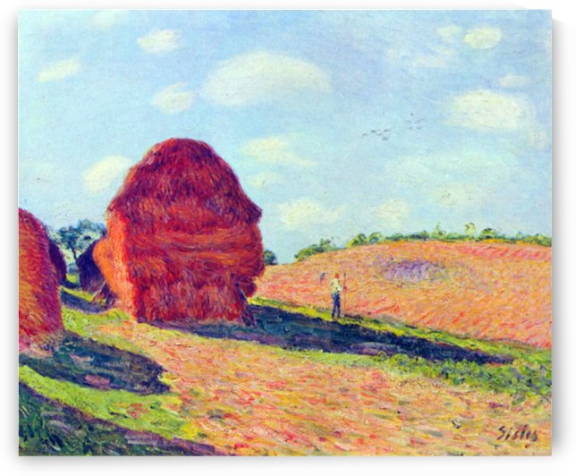 The straw rents by Sisley