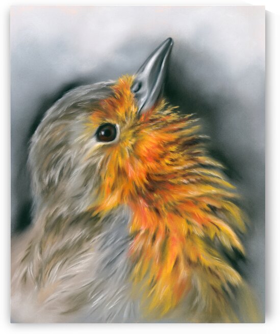 European Robin Facing Skyward by MM Anderson