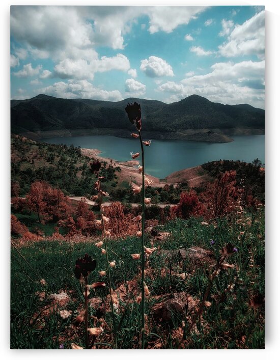 Chocolate Lily  by Explore Gods Glory
