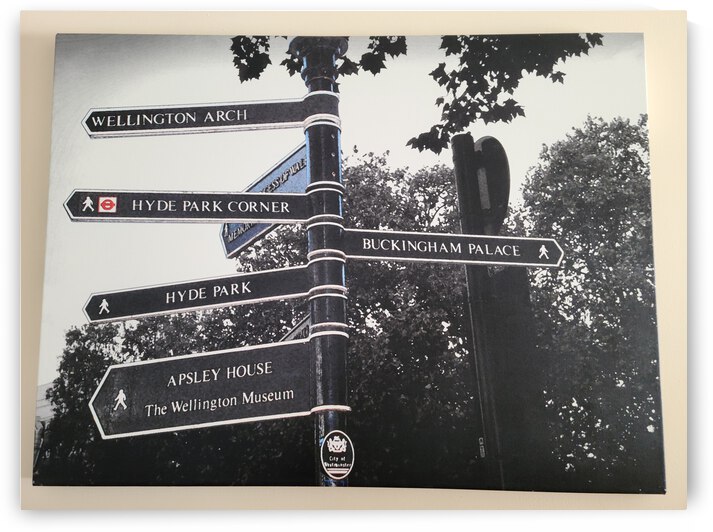 20210225 122903 by JLove