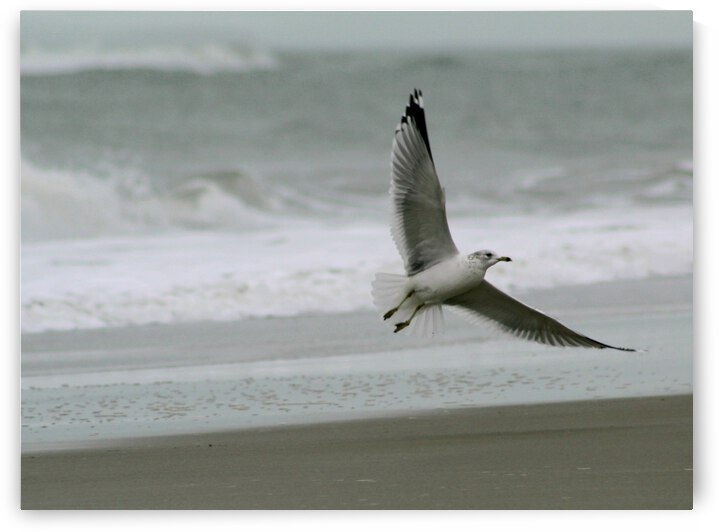 Lift Off by The NC Geek