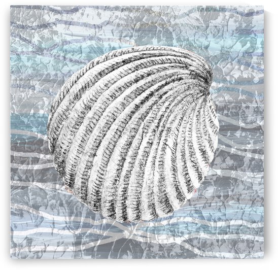 Silver Gray Seashell On Ocean Shore Waves And Rocks II by Irina Sztukowski