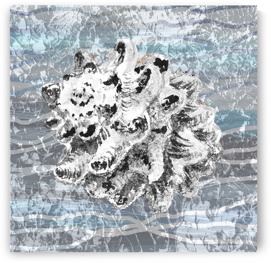 Silver Gray Seashell On Ocean Shore Waves And Rocks VI by Irina Sztukowski