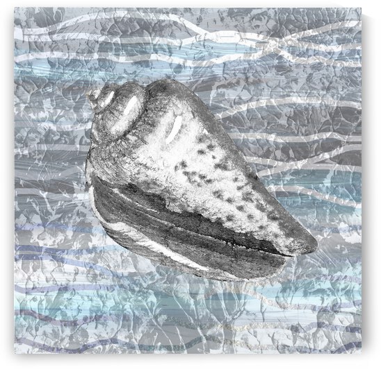 Silver Gray Seashell On Ocean Shore Waves And Rocks VIII by Irina Sztukowski