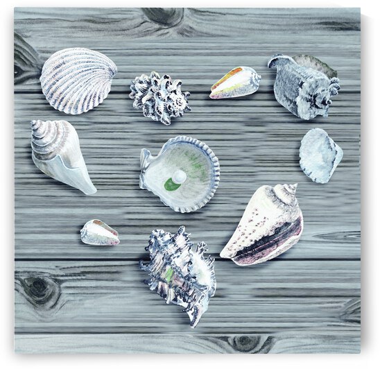 Silver Gray Seashells Heart On Ocean Shore Wooden Deck Beach House Art  by Irina Sztukowski