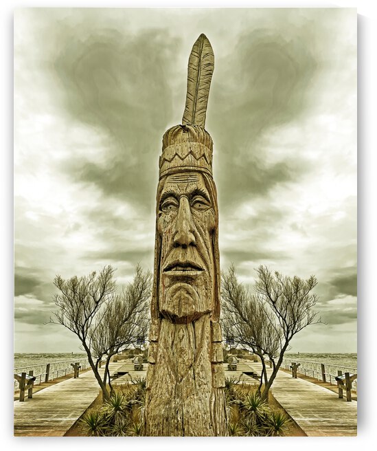 Assateague Indian at the OC Inlet in goldtone by Bill Swartwout Photography