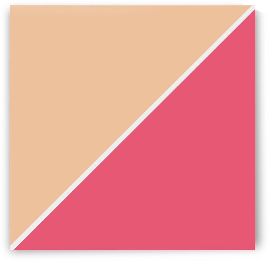 Tan and Pink Shade Abstract by rizu_designs