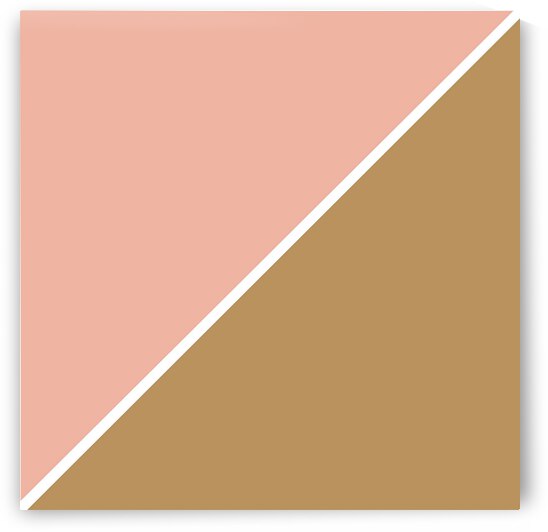 Peach and Tan Abstract by rizu_designs