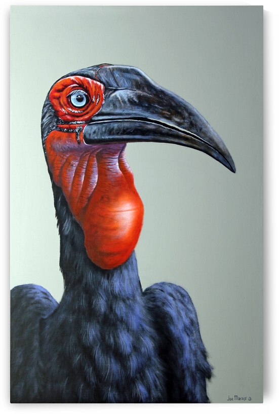 Thunderbird by Joe Marais by Joe Marais