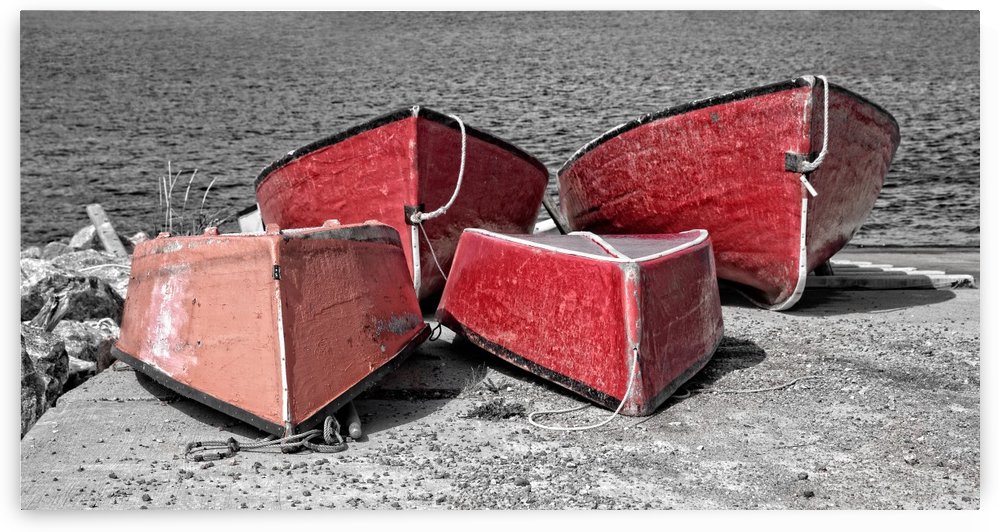 Red Dorries by Michel Soucy