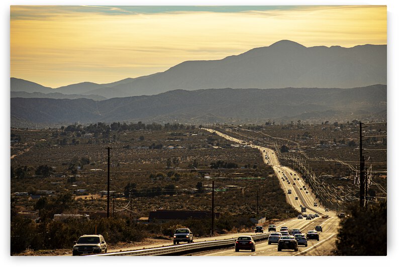 Palm springs by Edith Weiner