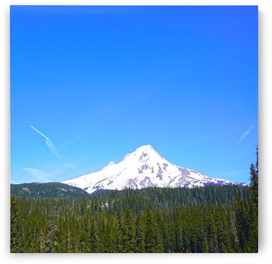 Mount Hood in Spring by 360 Studios