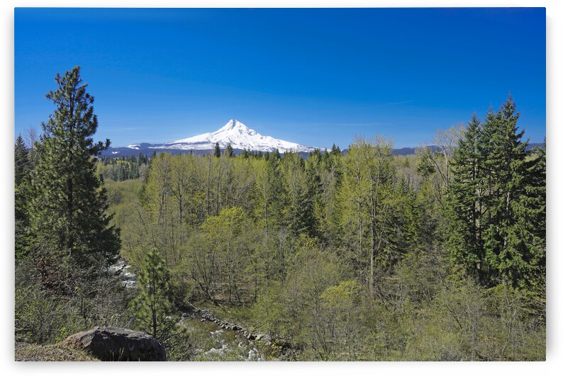 Mount Hood   Oregon by 360 Studios