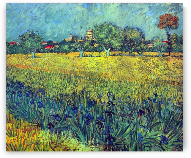 View of Arles with irises by Van Gogh
