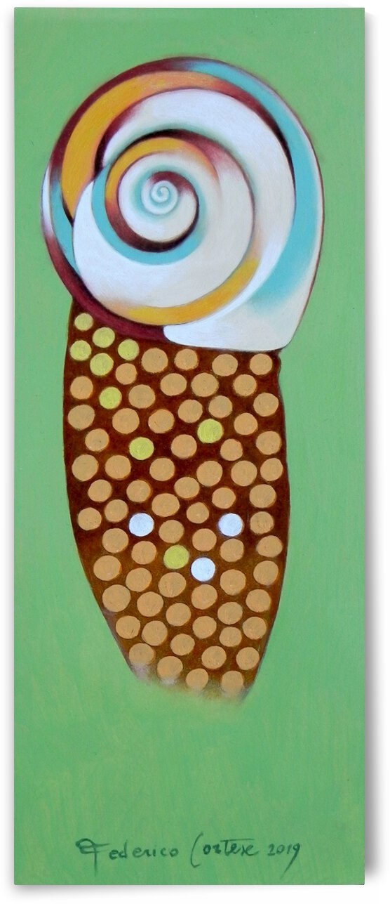 Shell by federicocortese