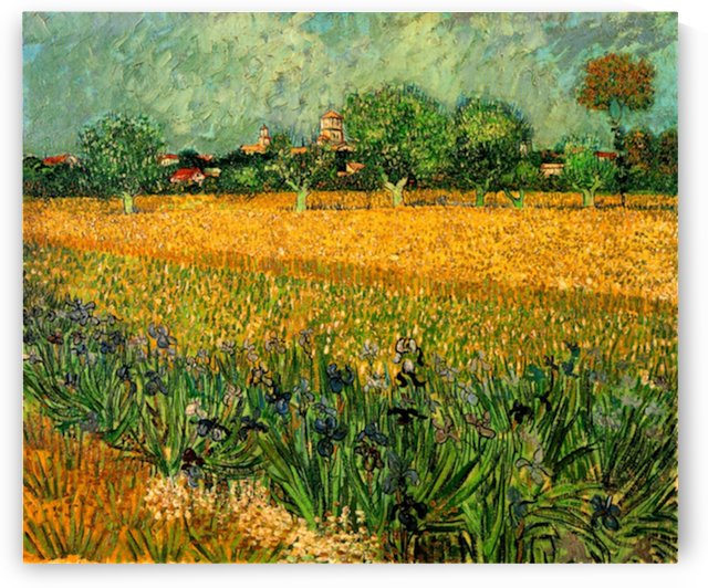 View of Arles with Irises in the Foreground by Van Gogh