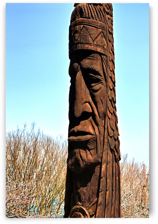 Bethany Beach Totem Chief Little Owl by Bill Swartwout Photography