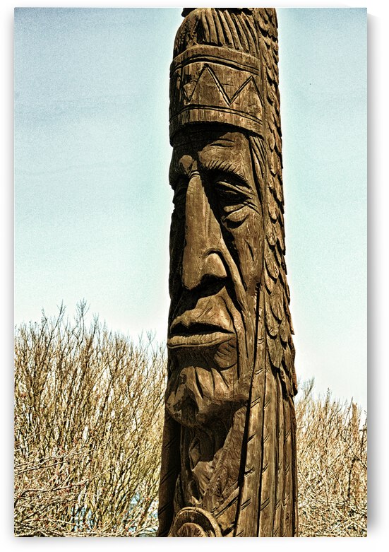 Bethany Beach Totem Chief Little Owl Goldtone by Bill Swartwout Photography