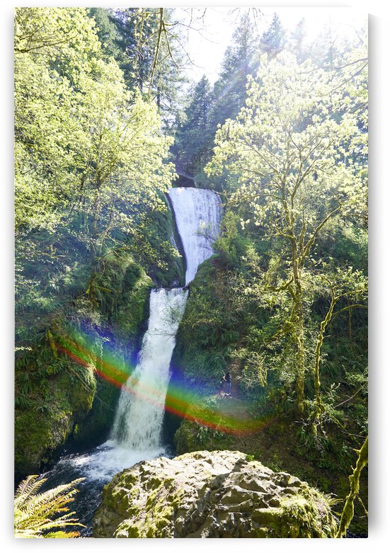 Bridal Veil Falls Bathed in Sunlight and Rainbows - Waterfall  by 360 Studios
