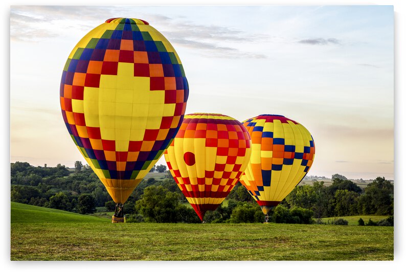 Colorful balloons land at the National Balloon Classic by Canvapro