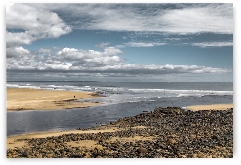 Before Summer Comes - Ogunquit Maine by Dave Therrien